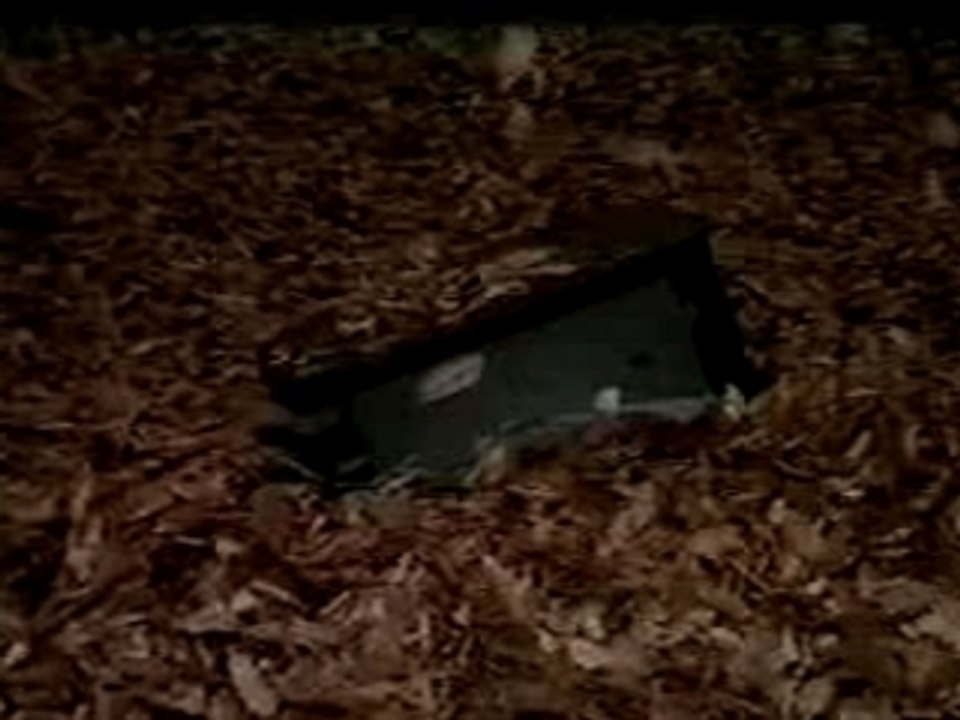 Malice Mizer - Au Revoir