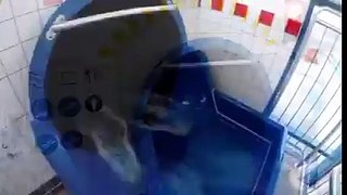 worlds coolest water slide