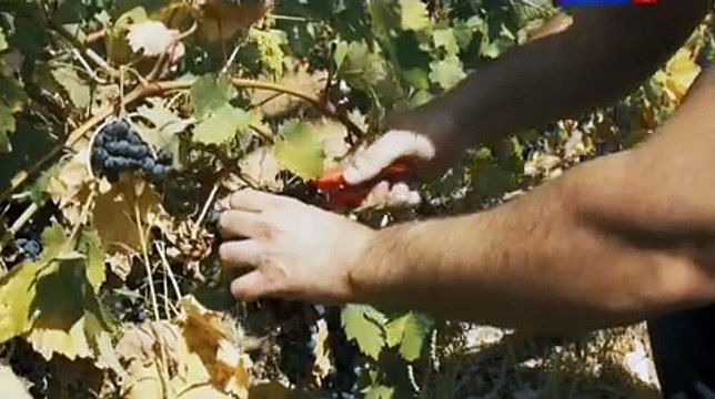 Истина в вине 2 серия 1 русская мелодрама 2016 смотреть онлайн новинка сериал