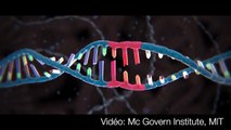 Alain Fischer explique la révolution génétique CRISPR/Cas9