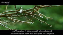 The most heart soothing Quran Recitatoin -- very beautiful & emotoinal -- by Mu'ayyid al-Mazen