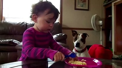 cute babies doing funny things,kissing dogs