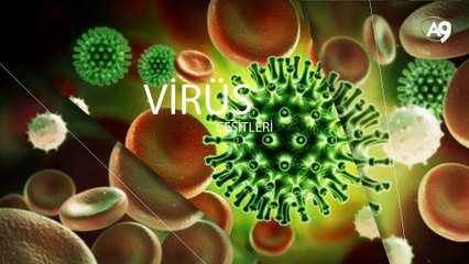 Görünmeyen Dünya - 3