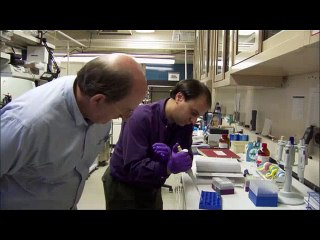 نزول المطر بمقدار