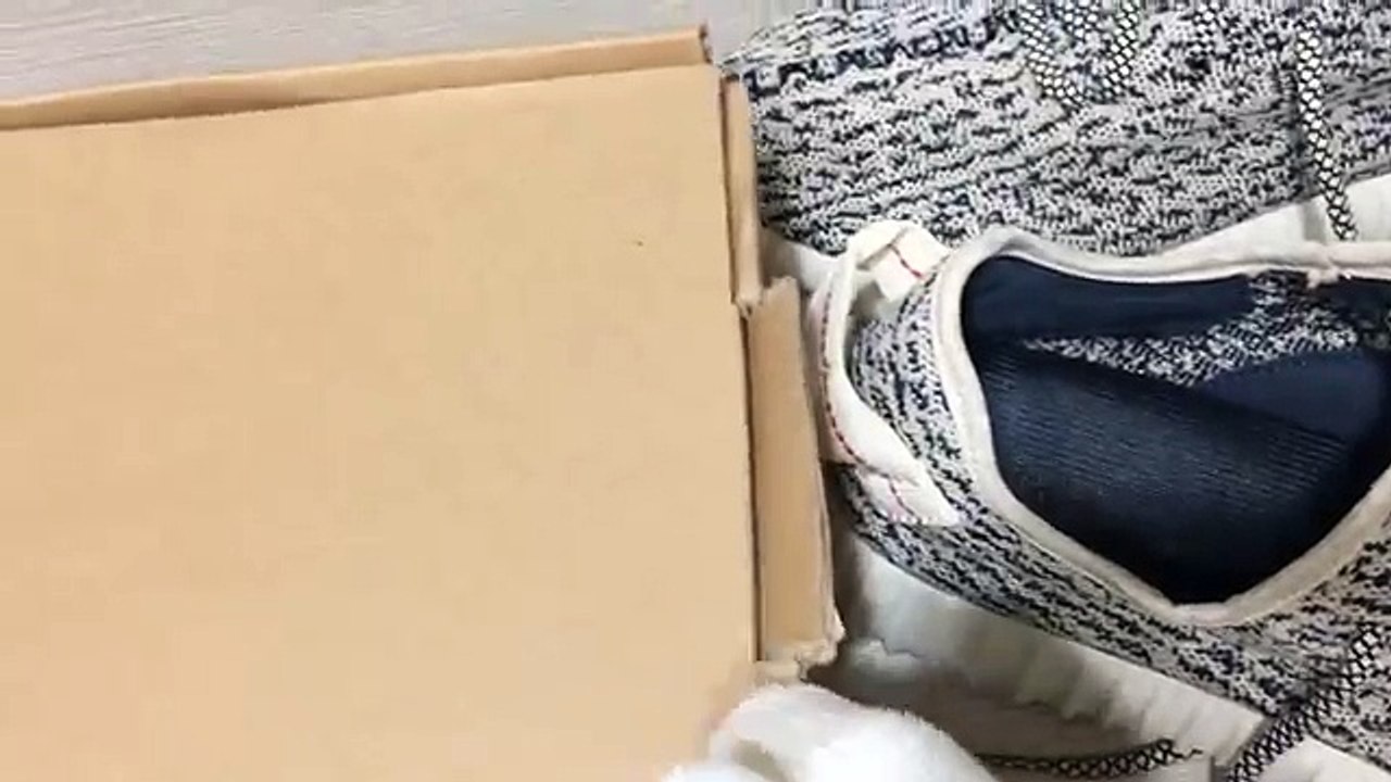 Unboxing and review of Yeezy 350 boost Turtle Gray (1024p FULL HD)