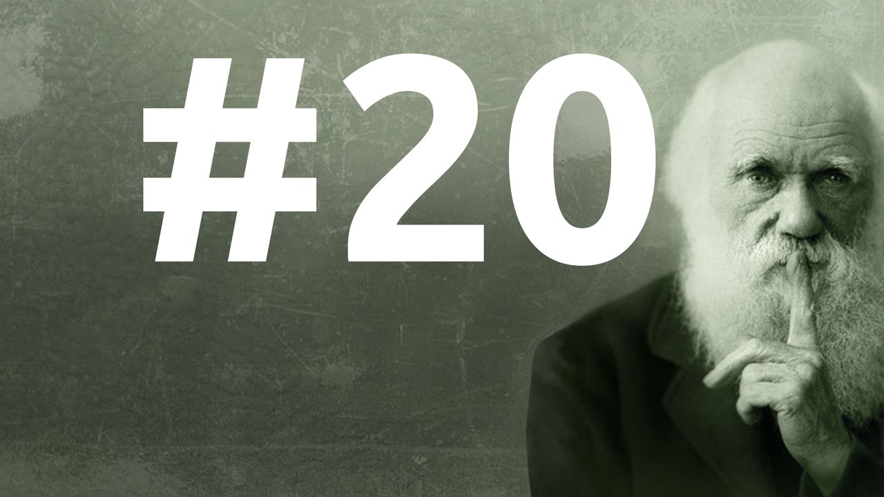 SLEDD#20 du 05 février 2011 A la recherche des mystères de l’hérédité (1)