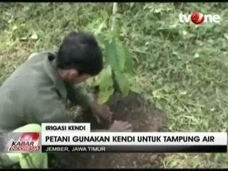 Warga Jember Tanam Kendi Sebagai Sarana Irigasi