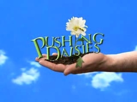 Pushing Daisies