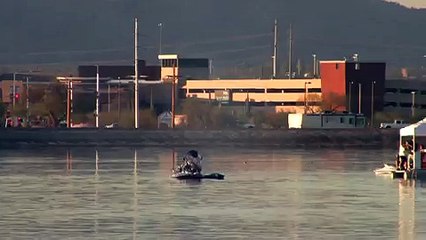 Daryl Ehrlich - Problem Child TFH