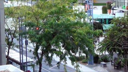 Heuliez GX317GPL N°551 Fil Bleu