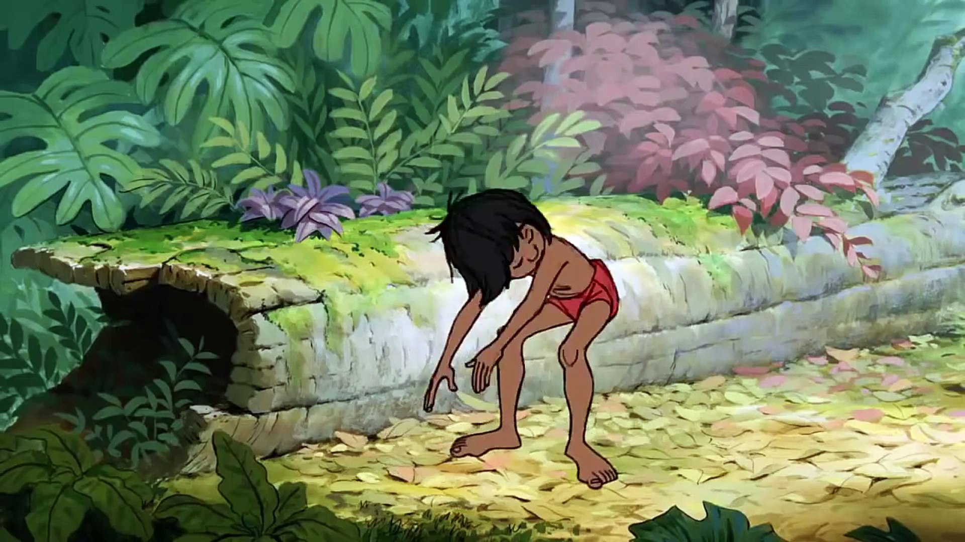 The Jungle Book - Mowgli Baloo and Bagheera HD – Видео Dailymotion