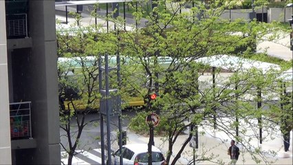 Heuliez GX317GPL N°554 Fil Bleu-Zoo de Beauval