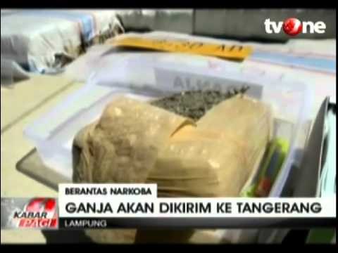 Polisi Gagalkan Penyelundupan 2,5 Ton Paket Ganja