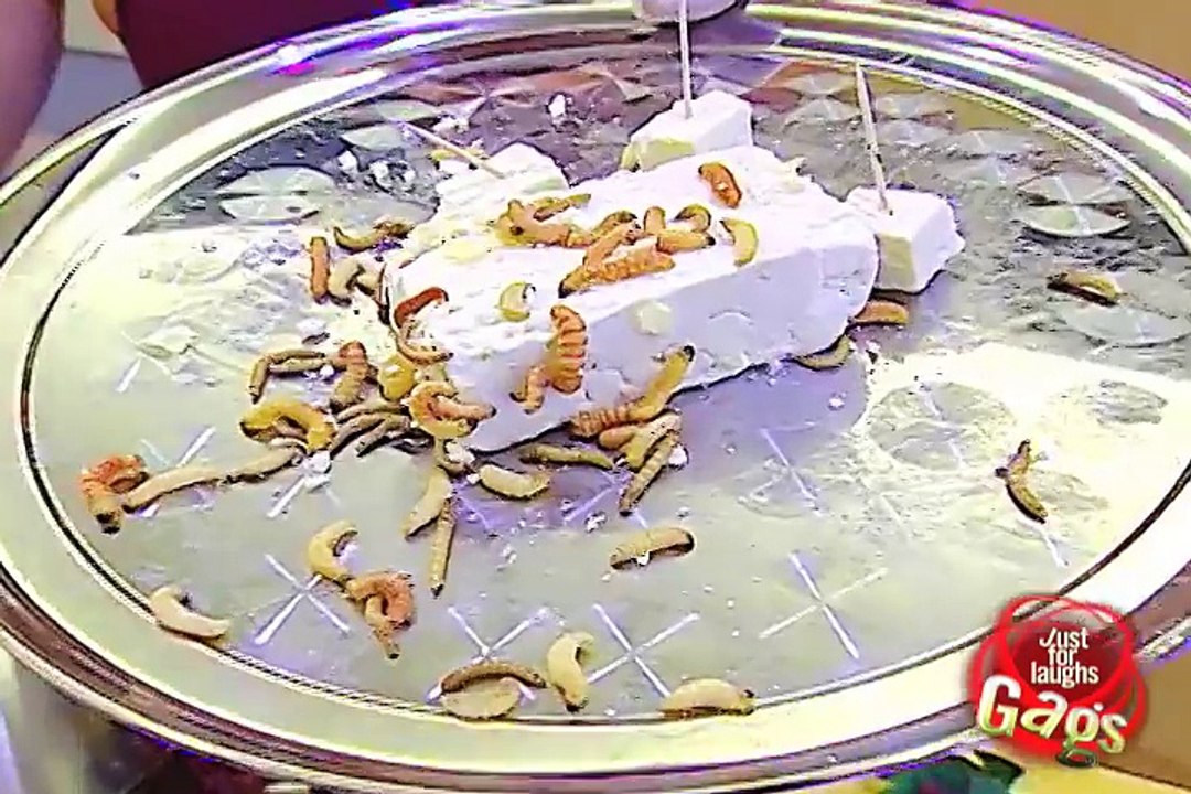 Daily Laughs_Maggot Cheese Prank