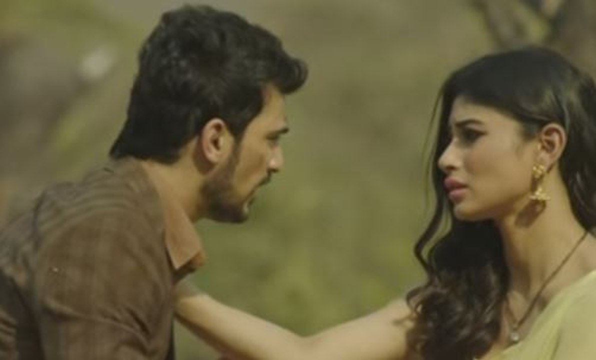 Naagin 19th March 2016 Full Episode Part 2