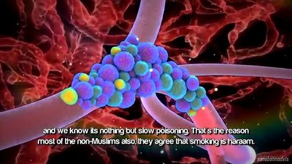 Islamic Ruling On Smoking - With Evidence Dr Zakir Naik Videos