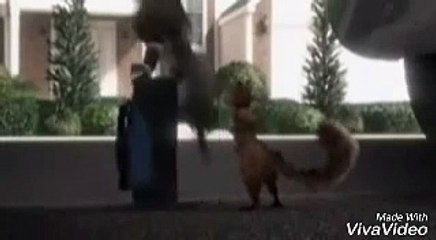 Over the Hedge (2003) MTV Rabid Squirrel Scene
