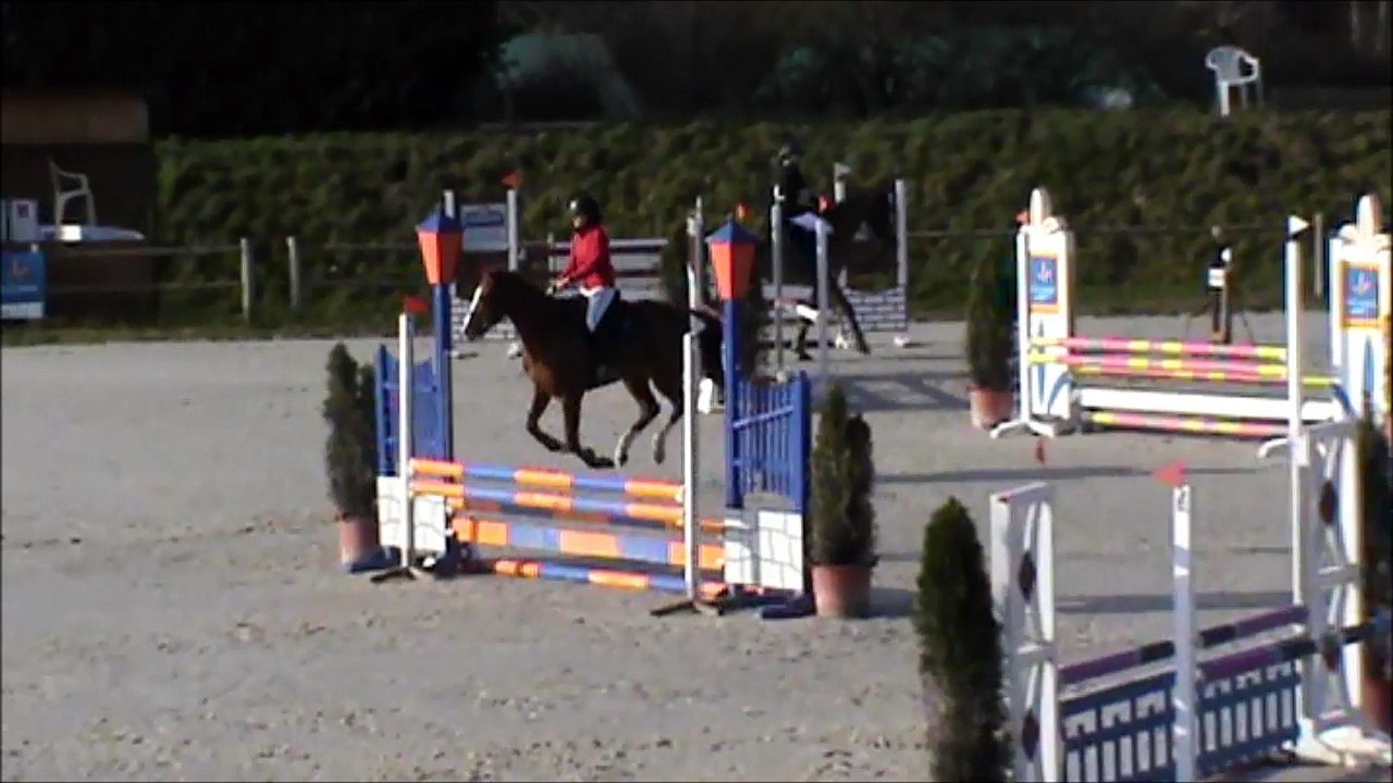 Camomille CSO Sandillon 20160316