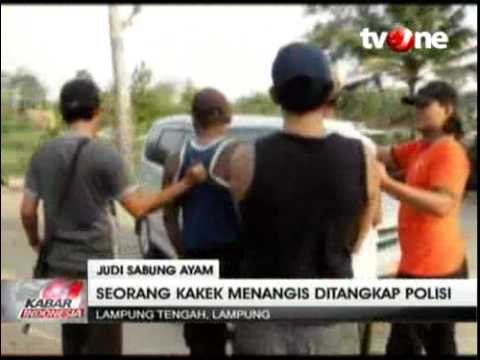 Ditangkap Polisi, Kakek Pejudi Sabung Ayam Menangis