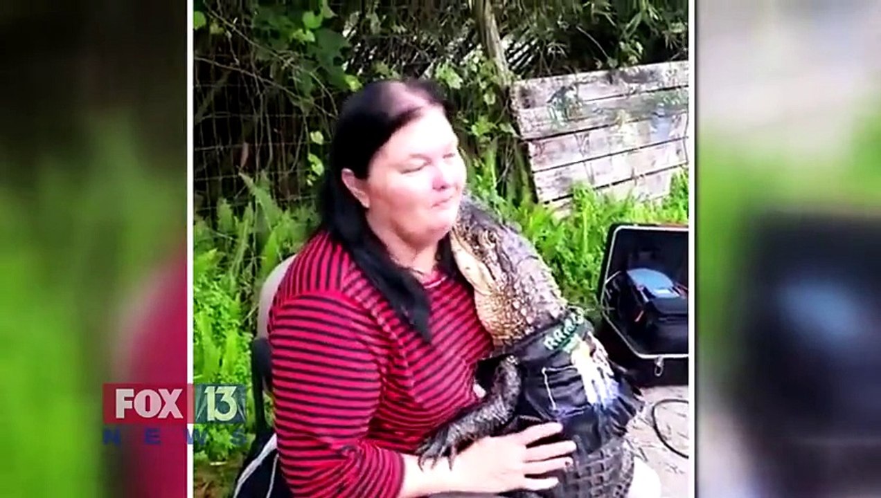 Une femme a un alligator comme animal de compagnie