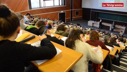 Rennes. Vif succès des Timbrés de l'orthographe