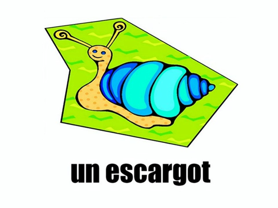 Learn French - Les animaux vol2