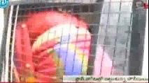 Heroine Swetha Basu Prasad Caught Red Handed