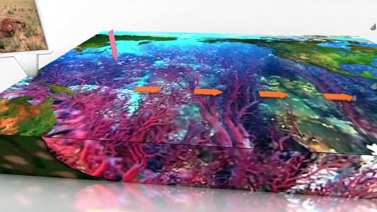 El Nino