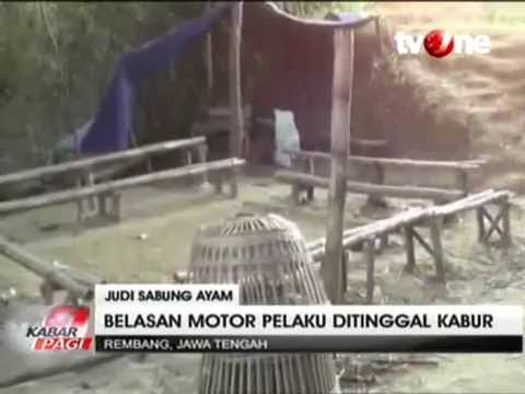 Digerebek Polisi, Penjudi Sabung Ayam Kabur Tinggalkan Belasan Motor