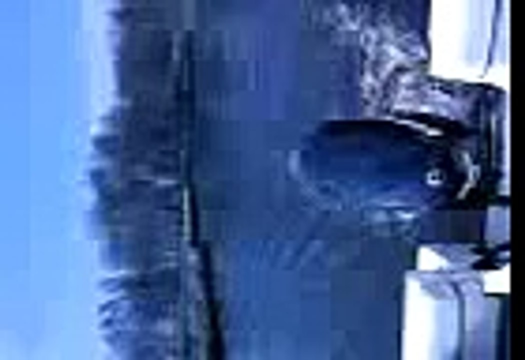 Evinrude E-Tec 115 Bayliner