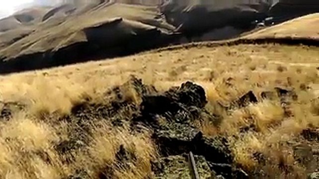 Kanat sesini özleyenlere gelsin keklik avları