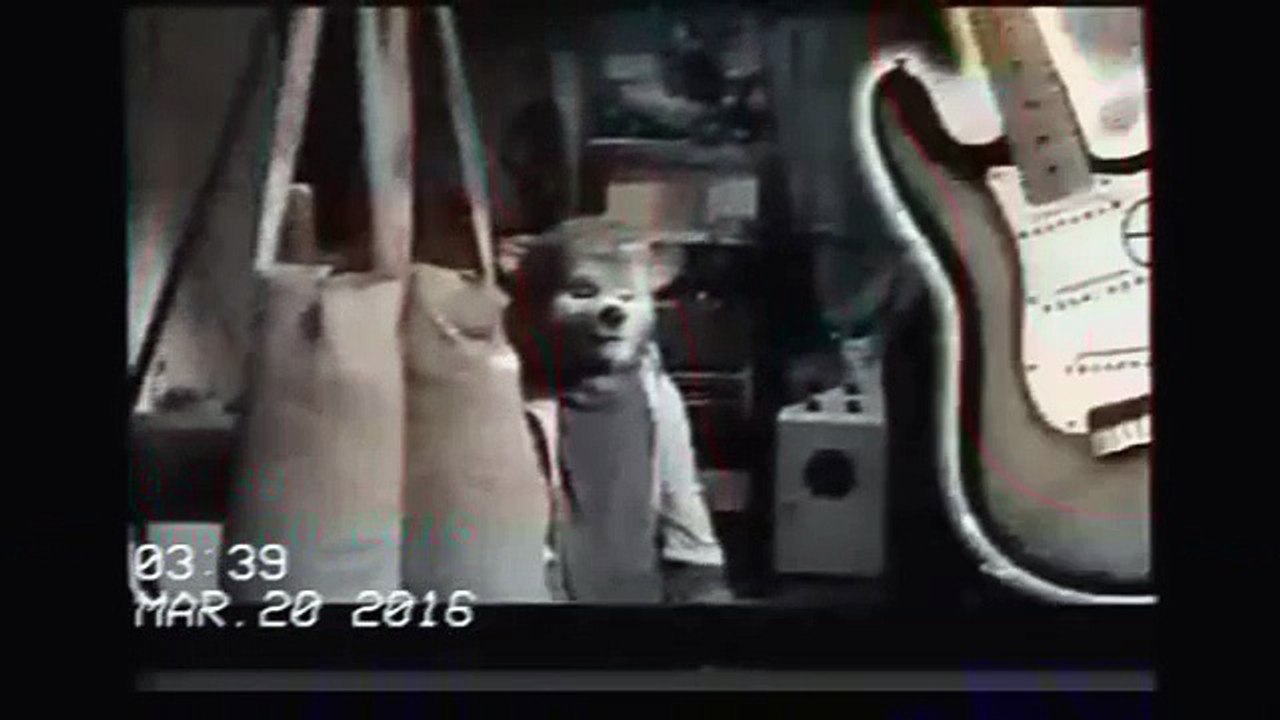 Opening To August Rush 2002 VHS