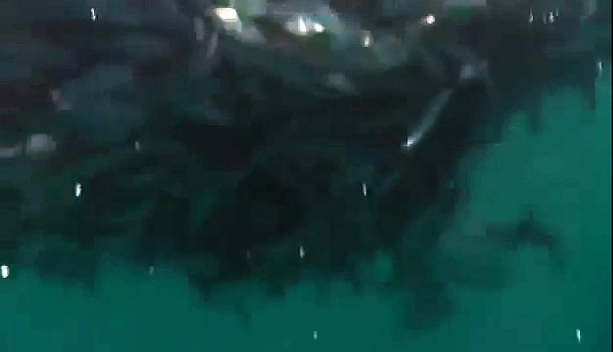 BIZARRE NATURE Strange Weird Events 8