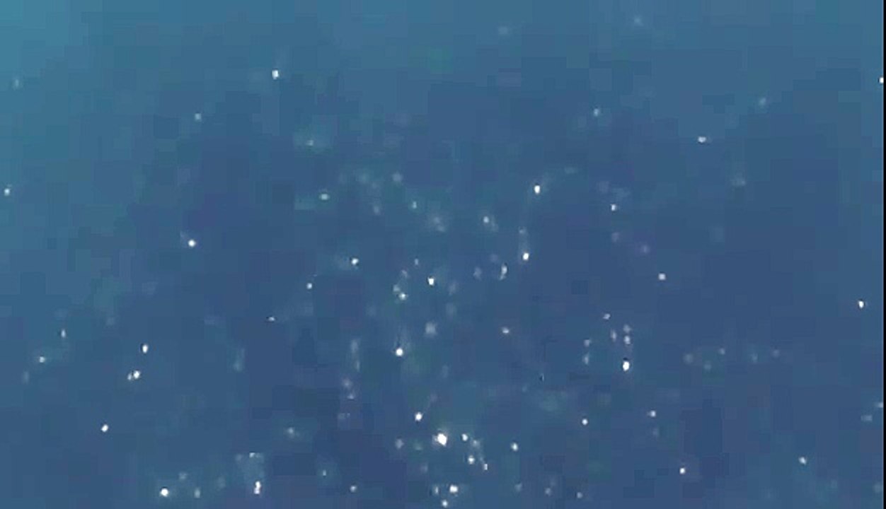 BIZARRE NATURE Strange Weird Events 18
