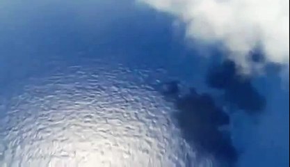 BIZARRE NATURE Strange Weird Events 25