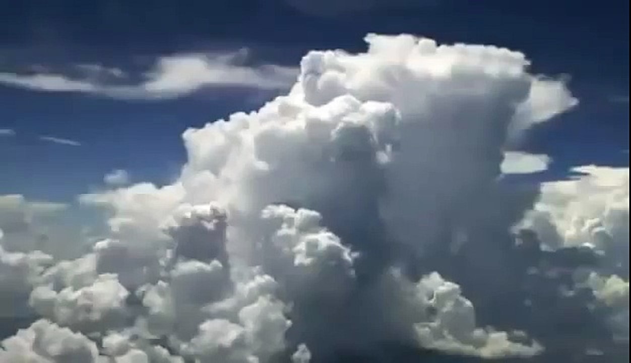 BIZARRE NATURE Strange Weird Events 29