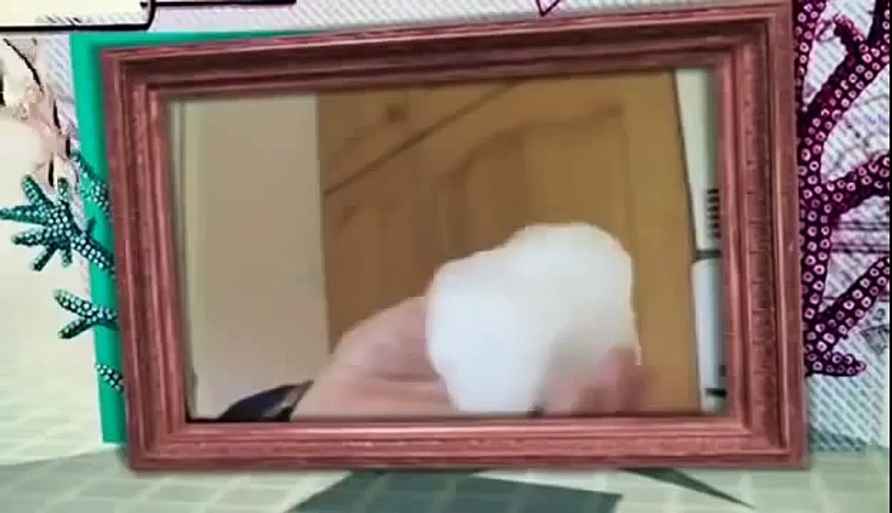 BIZARRE NATURE Strange Weird Events 30