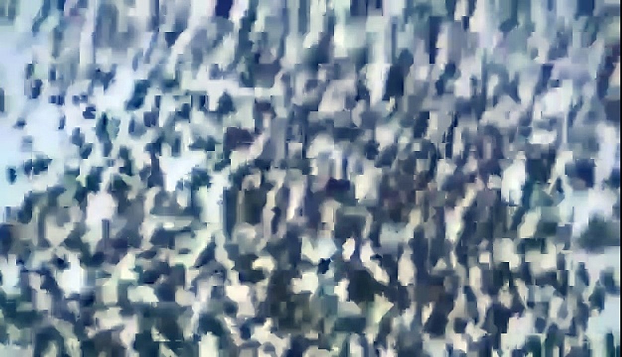 BIZARRE NATURE Strange Weird Events 46