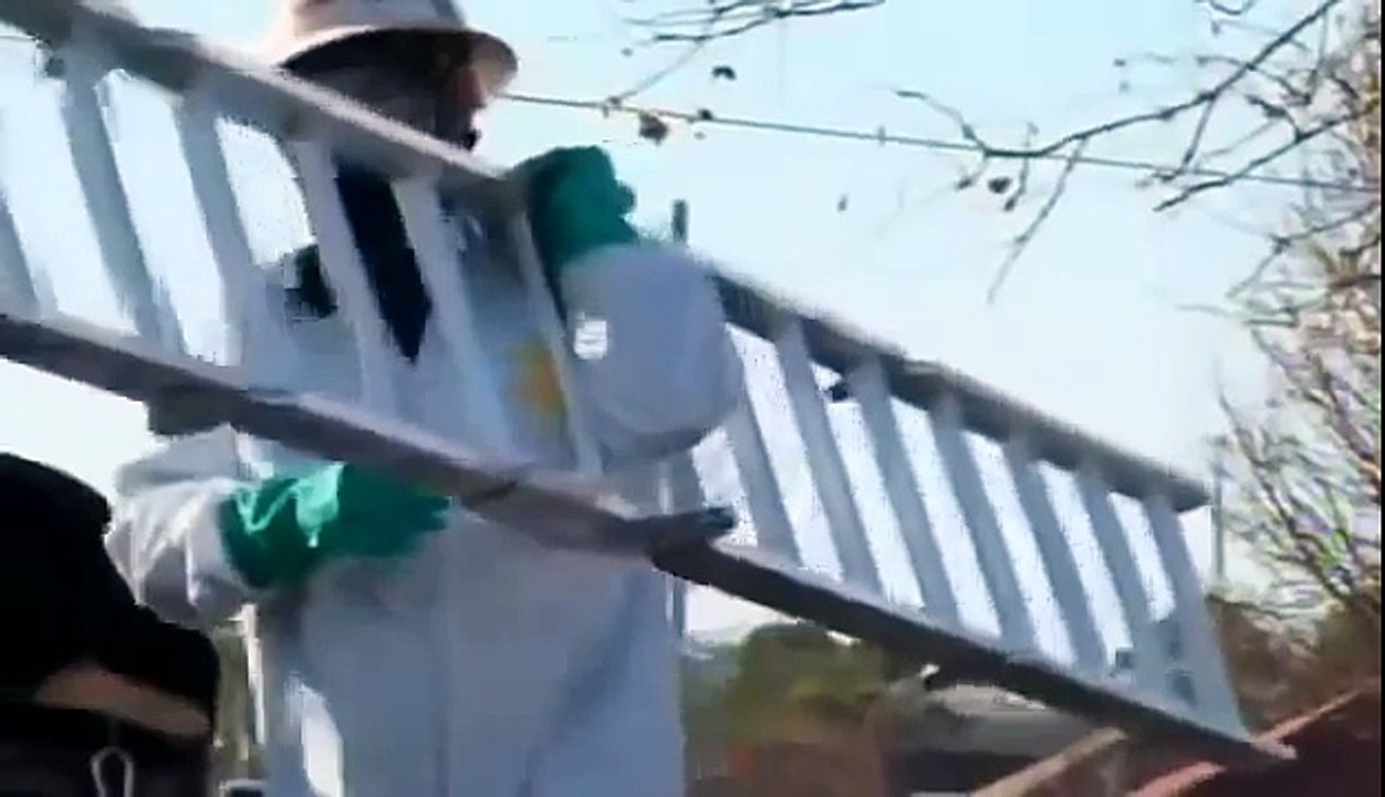 BIZARRE NATURE Strange Weird Events 51