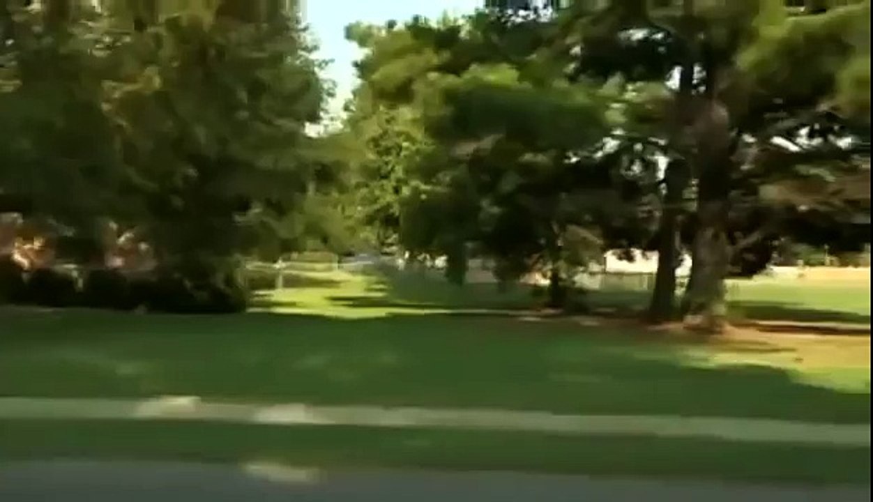 BIZARRE NATURE Strange Weird Events 54