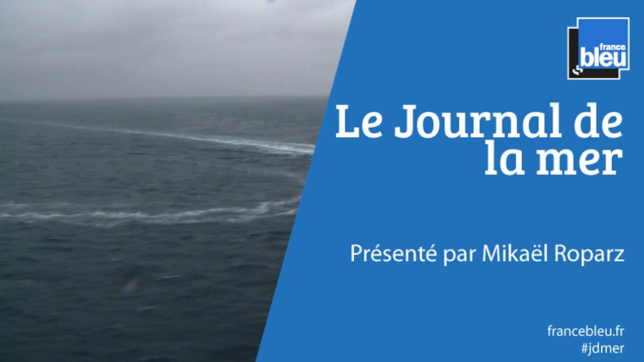 JOURNAL DE LA MER | Une nouvelle frégate furtive pour la Marine nationale