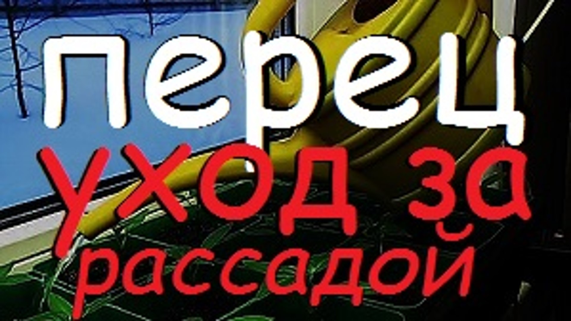 ⁣РАССАДА ПЕРЦА. УДОБРЕНИЕ И УХОД / Дача / Сад / Огород / Рассада / March 2016 /  Cottage / Garden / G
