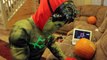 Kid Deadpool vs Batman in Real Life Halloween Costumes | New Little Superheroes | SuperHero Kids
