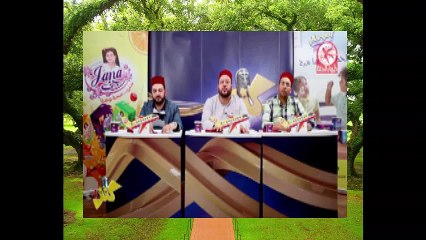 المتأهلين من المغرب كنز 4-طيور الجنة