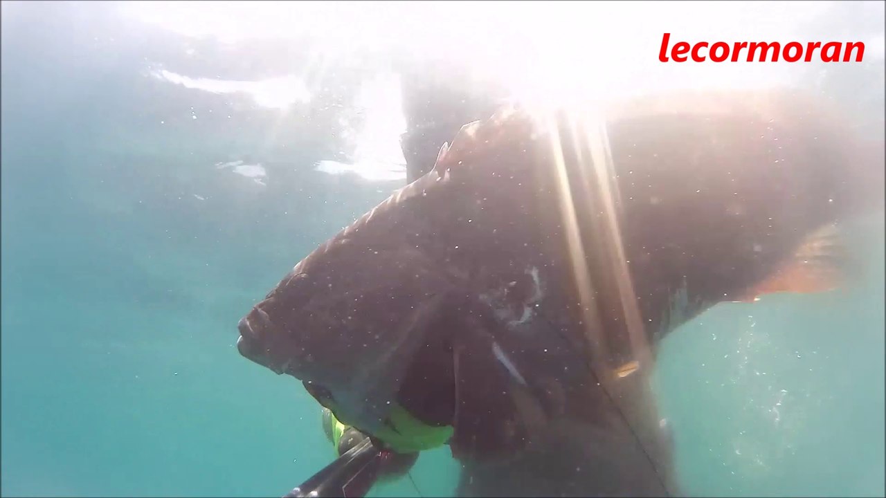 merou badéche a l'agachon