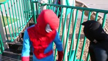 New Little Spiderman Vs Captain America & Batman - Real Life Superhero Battle!