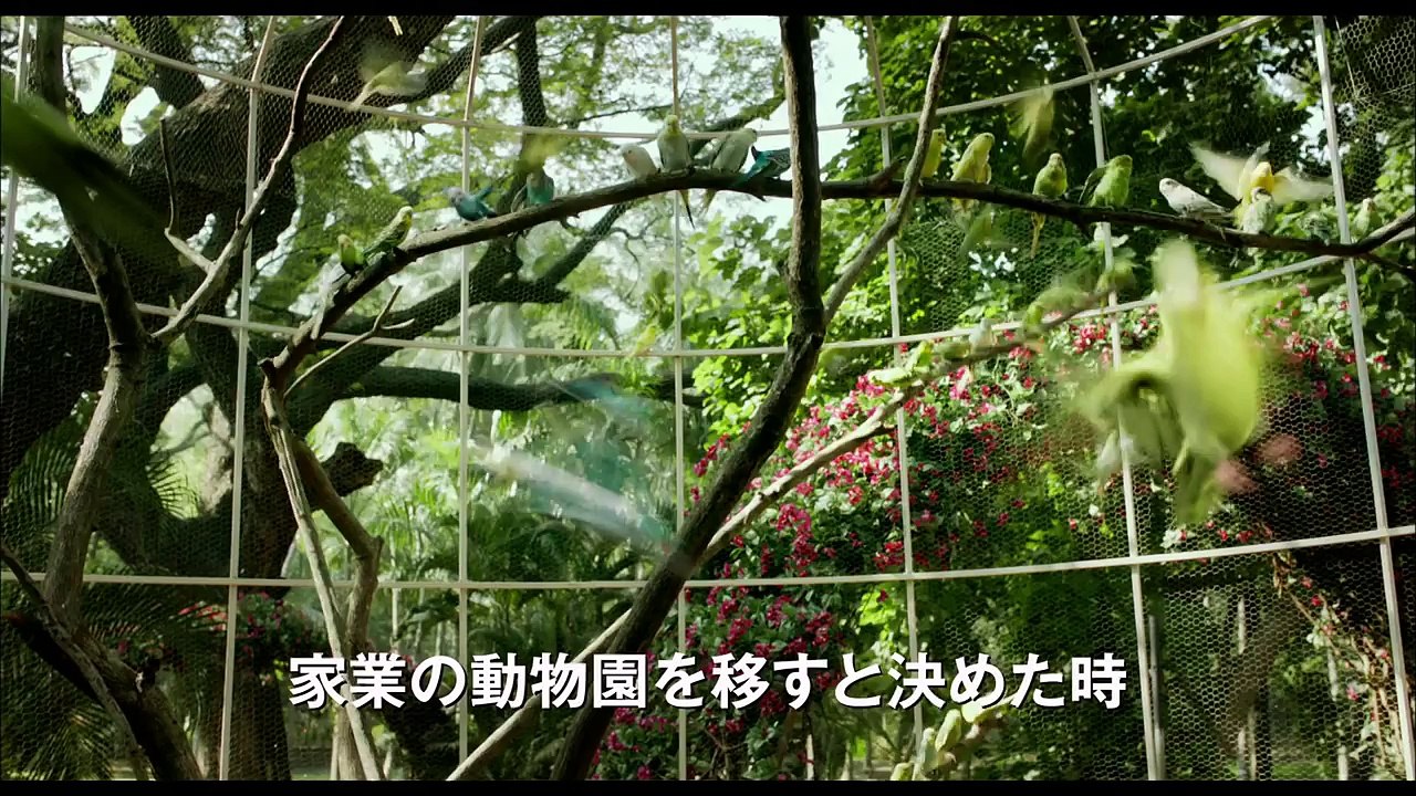 「ライフ・オブ・パイ / トラと漂流した227日」予告編