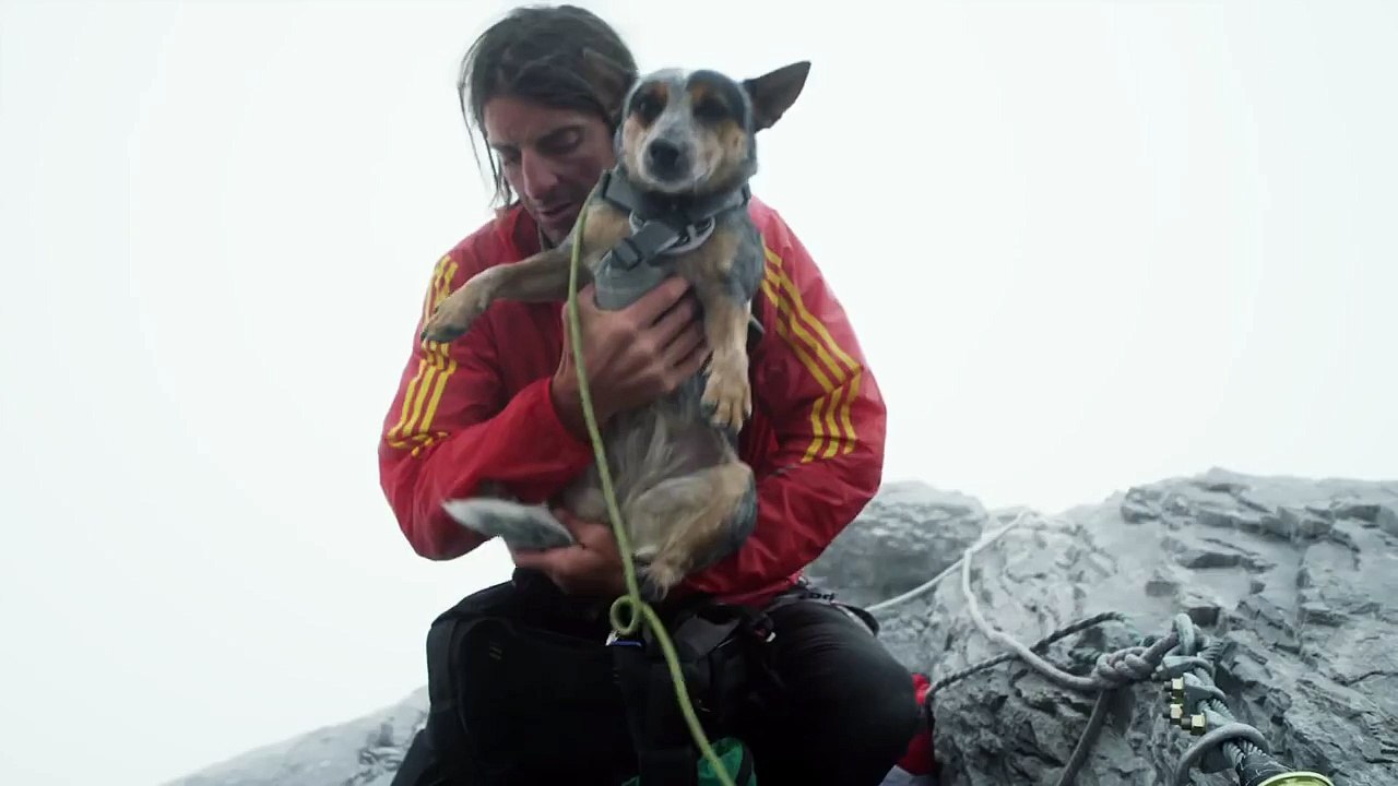Sahibiyle Uçan Köpek