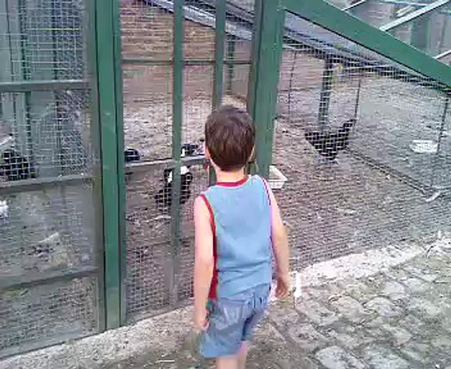 ilbey kozluda hayvanat bahçesinde