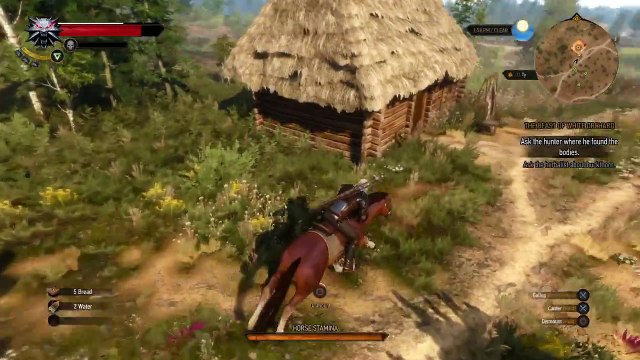 The Witcher 3: Wild Hunt Gameplay Part 4 Task To Kill A Griffin